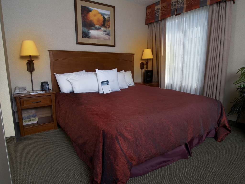 Homewood Suites By Hilton Albuquerque-Journal Center Room photo